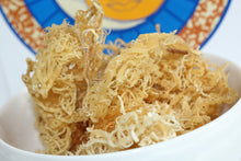 Load image into Gallery viewer, Sea Moss Raw - Whole Leaf