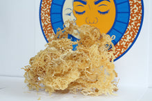 Load image into Gallery viewer, Sea Moss Raw - Whole Leaf