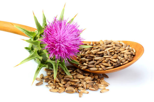 Milk Thistle Seed- Liver Detox