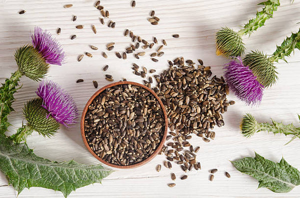 Milk Thistle Seed- Liver Detox